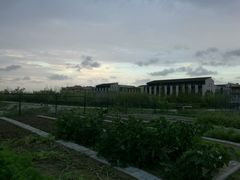 -上海崇明金茂凯悦酒店