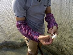 android_upload_pic-北海金海湾红树林生态旅游区