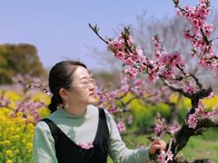 -南汇桃花村