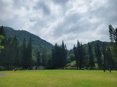 -深圳仙湖植物园