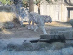 -常州淹城野生动物世界