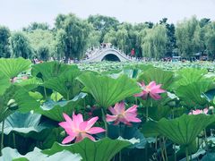 -长春市南湖公园