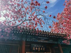 -潭柘寺景区