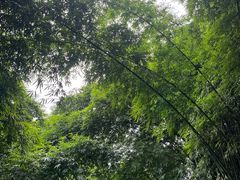 -黔灵山公园