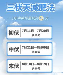 -Fundi张玉珊修身堂·indiba·BTL科技瘦身