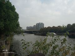 -运河游船(武林门码头)