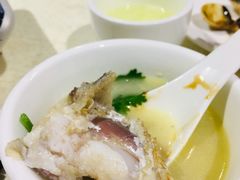 -暖见鱼·自家农场生态鱼