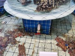 -大锅强·蒸海鲜青岛菜(吾悦广场店)