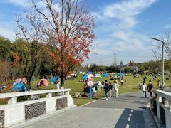 -昆山城市生态森林公园