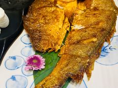 -古田居·特色寿司料理(星之岛旗舰店)