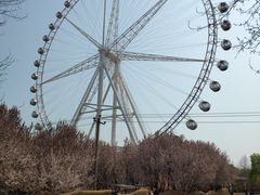 -石家庄市植物园