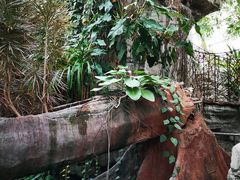 -北京植物园-展览温室