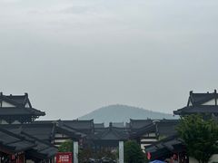 -大唐贡茶院