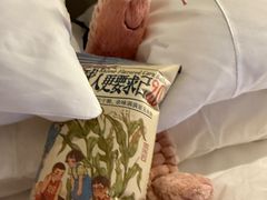 -长沙尼依格罗酒店