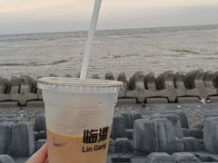 -南汇嘴观海公园