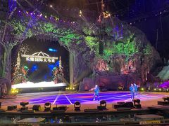 -广州长隆国际大马戏