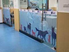 -宠颐生猫科·内科皮肤科(西平世纪城店)