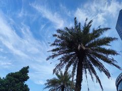 -番禺广场(市桥街道)