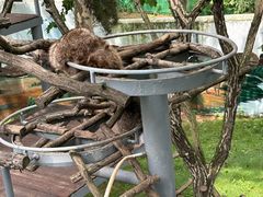 -西霞口神雕山野生动物世界