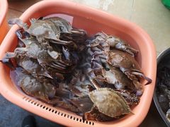 -许村蟹面(海宁许村大道店)