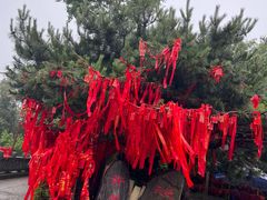 -泰山风景名胜区