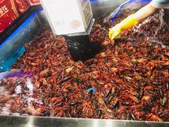 -盒马鲜生(岭南新世界店)