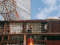 -中国福利会少年宫