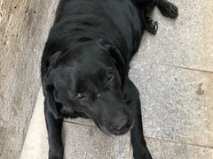 -南窖乡水峪村山情农家