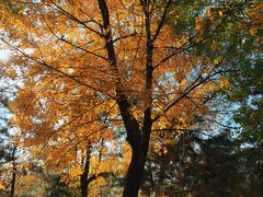 -森林公园(尖草坪区)