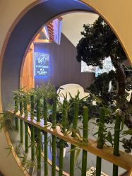 -龄斓·问题肌精准护理