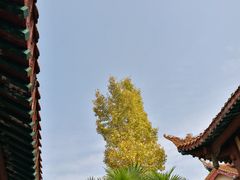 -富乐山
