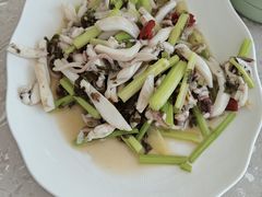 -魚當家