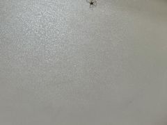 -杭州千岛湖开元度假村