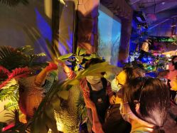 -恐龙探索乐园(磁器口店)