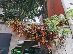 -ChitChat奇洽·Bistro(黎黄陂路店)