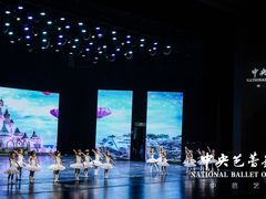 -中央芭蕾舞团·中芭艺蕾(酒仙桥明星校区)