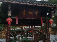 -青城甲(青城山店)