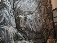 -三清山希尔顿度假酒店