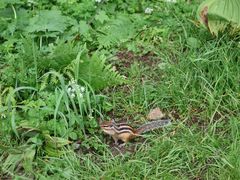 -长白山万达锦华套房酒店