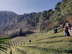 -敬亭山风景名胜区