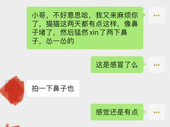 -龟与熊猫宠物公园(南坪店)