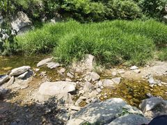 -黑龙潭风景区