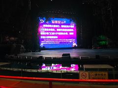 -广州长隆国际大马戏