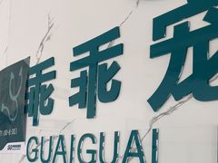 -乖乖宠物医院·猫科·骨科·24小时(云岗分院)