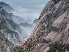-黄山风景区