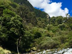 -叠溪松坪沟景区