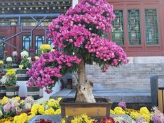 -迎泽公园