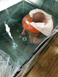 -爱婴室(上海浦建路店)