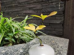 -南堂馆·新川菜(天府三街店)