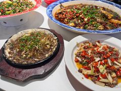 -新概念来凤鱼(璧山店)